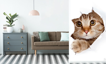 Visualisierung des Produkts