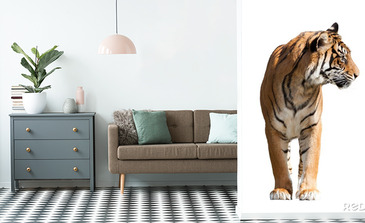 Visualisierung des Produkts