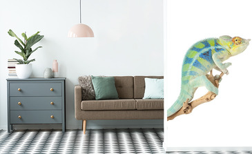 Visualisierung des Produkts