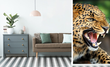 Visualisierung des Produkts