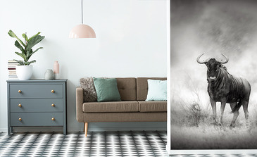 Visualisierung des Produkts