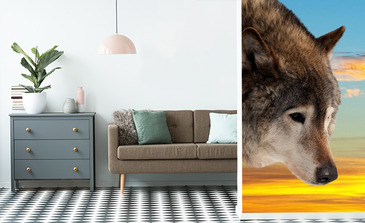 Visualisierung des Produkts