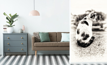 Visualisierung des Produkts