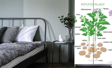 Visualisierung des Produkts