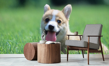 Visualisierung des Produkts