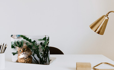 Visualisierung des Produkts