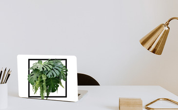 Visualisierung des Produkts