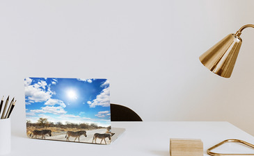 Visualisierung des Produkts