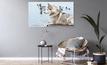 Visualisierung des Produkts