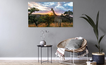 Visualisierung des Produkts