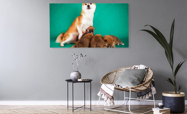 Visualisierung des Produkts