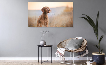 Visualisierung des Produkts