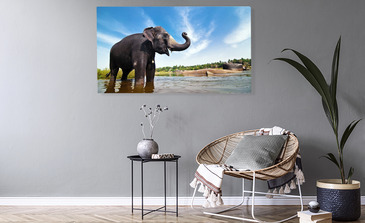 Visualisierung des Produkts