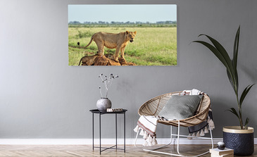 Visualisierung des Produkts