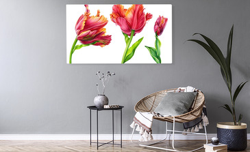 Visualisierung des Produkts