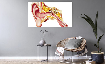 Visualisierung des Produkts