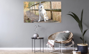 Visualisierung des Produkts