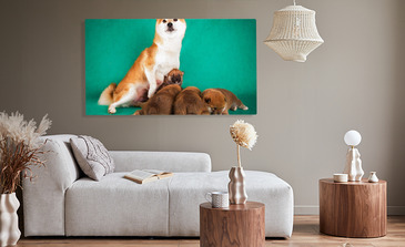 Visualisierung des Produkts