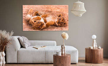 Visualisierung des Produkts