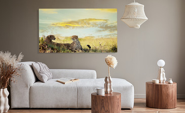 Visualisierung des Produkts