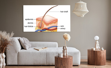 Visualisierung des Produkts