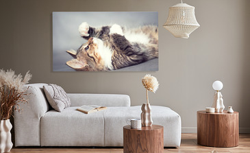 Visualisierung des Produkts