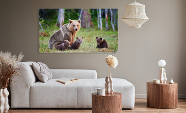 Visualisierung des Produkts