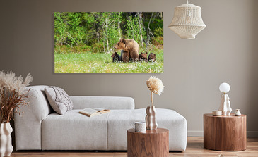 Visualisierung des Produkts