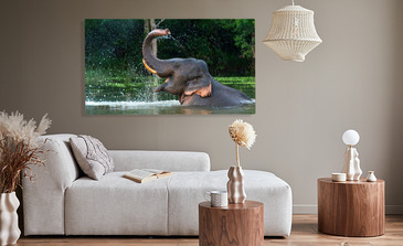 Visualisierung des Produkts