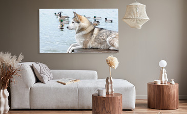 Visualisierung des Produkts