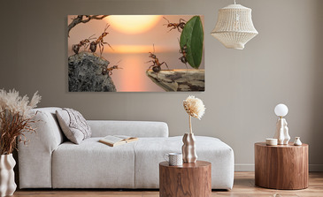 Visualisierung des Produkts