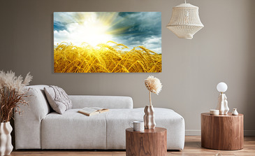 Visualisierung des Produkts