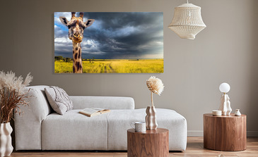 Visualisierung des Produkts