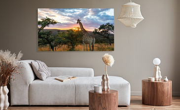 Visualisierung des Produkts