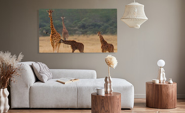 Visualisierung des Produkts