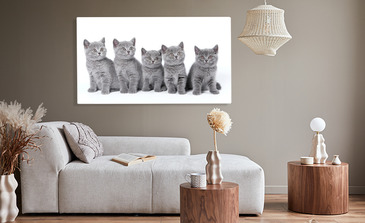 Visualisierung des Produkts