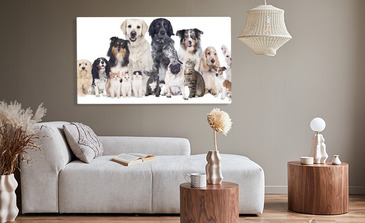 Visualisierung des Produkts