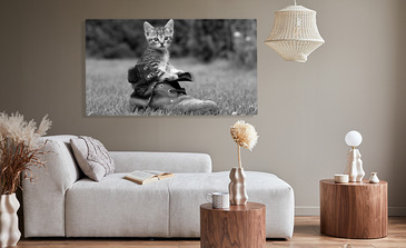 Visualisierung des Produkts