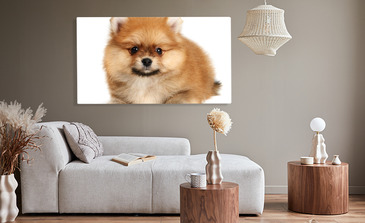 Visualisierung des Produkts