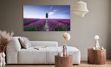 Visualisierung des Produkts