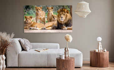 Visualisierung des Produkts