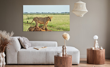 Visualisierung des Produkts