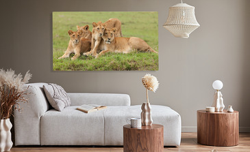 Visualisierung des Produkts