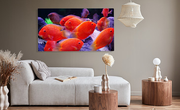 Visualisierung des Produkts