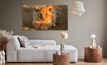 Visualisierung des Produkts