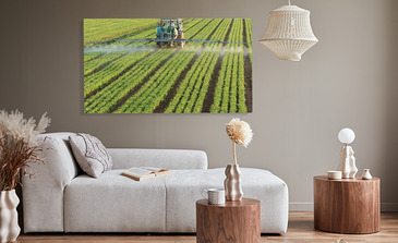 Visualisierung des Produkts