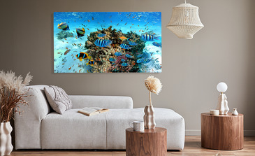 Visualisierung des Produkts