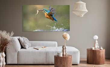 Visualisierung des Produkts