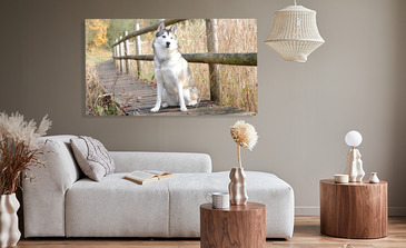 Visualisierung des Produkts