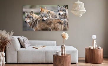 Visualisierung des Produkts